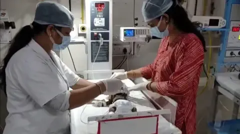 Newborn Interred Alive in India Battles for Survival