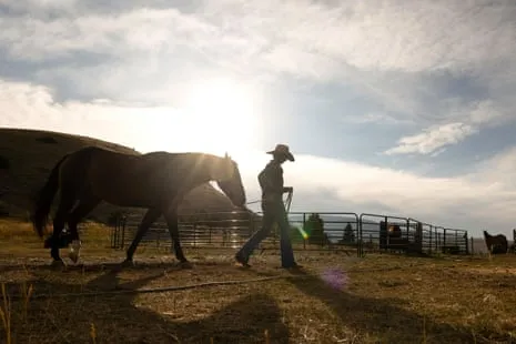 Meet the American Cowgirls Transforming Contemporary Farm Life