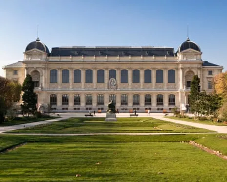 Historic Golden Samples Snatched in Bold Robbery at France's Natural History Institution