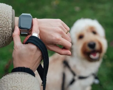 The Truth Concerning Smartwatches? Living Improves Without a Hectoring Zealot on Your Arm